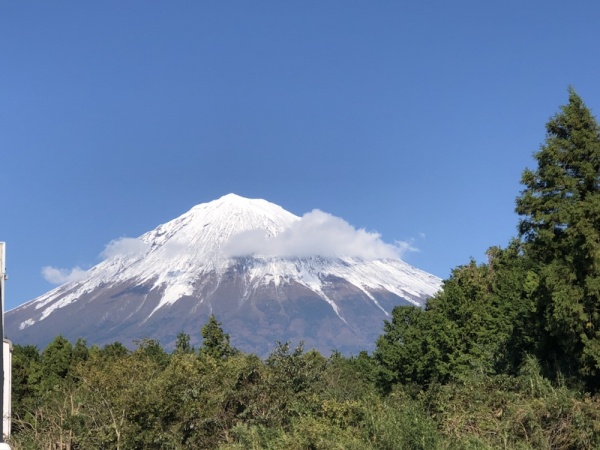 雪化粧